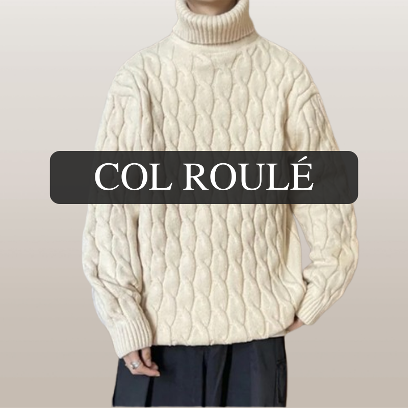 Pull Col Roulé Homme